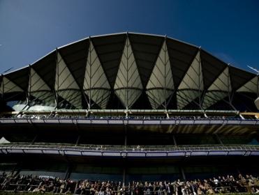 Buckwheat runs at Ascot on Saturday afternoon
